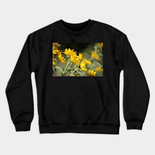 Windblown Sunflowers Crewneck Sweatshirt